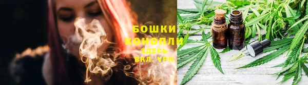 ПСИЛОЦИБИНОВЫЕ ГРИБЫ Нефтекумск