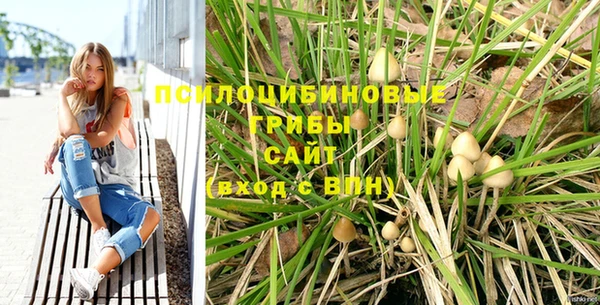 крисы Новодвинск