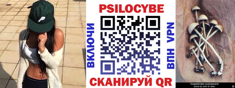 Галлюциногенные грибы Cubensis hydra зеркало Питкяранта